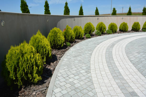 Best Commercial Driveway Pavers  in Edwardsville, KS